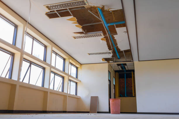 Best Flooded house restoration  in Woodsville, NH