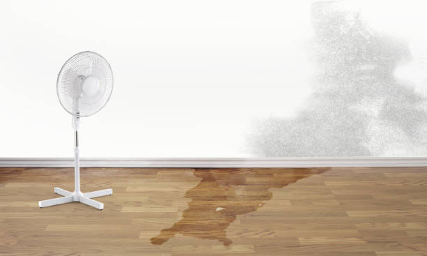 Water damage restoration experts in Woodsville, NH