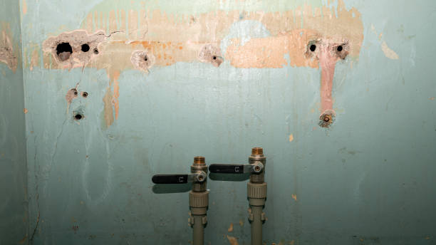 Best Basement water damage restoration  in Woodsville, NH