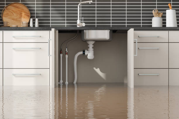 Best Commercial water damage restoration  in Woodsville, NH