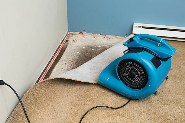 Best Commercial water damage restoration  in Woodsville, NH